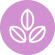 Icon 4